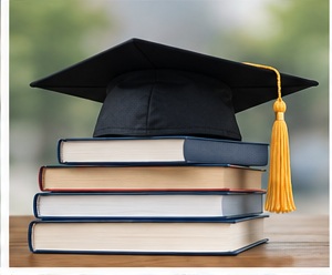 PIIE Diplomas study